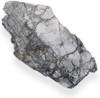 Lion Stone Art